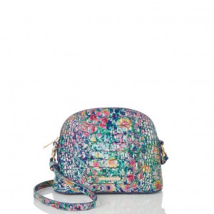 Multicolor Women's Brahmin Small Georgina Crossbody Bags | 0293TUEMD