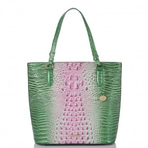 Pink Women's Brahmin Ezra Tote Bags | 7285LKZSH