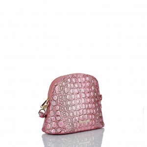 Pink Women's Brahmin Small Georgina Crossbody Bags | 0941DNUFA