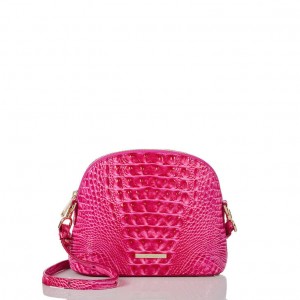 Pink Women's Brahmin Small Georgina Crossbody Bags | 4839BJTCX