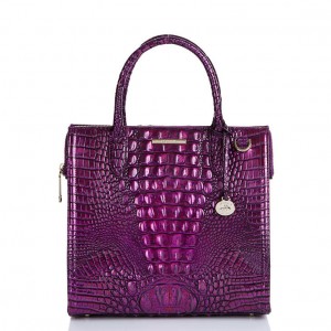 Purple Women's Brahmin Caroline Satchel Bags | 4093CPMJZ