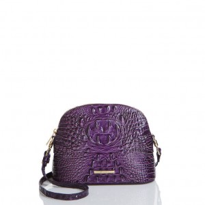 Purple Women's Brahmin Small Georgina Crossbody Bags | 3524NAVFK