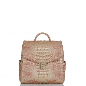 Rose Women's Brahmin Liz Backpacks | 8305RVBGX