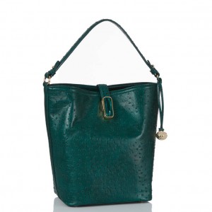 Turquoise Women's Brahmin Shira Bucket Bags | 6107PHCVF