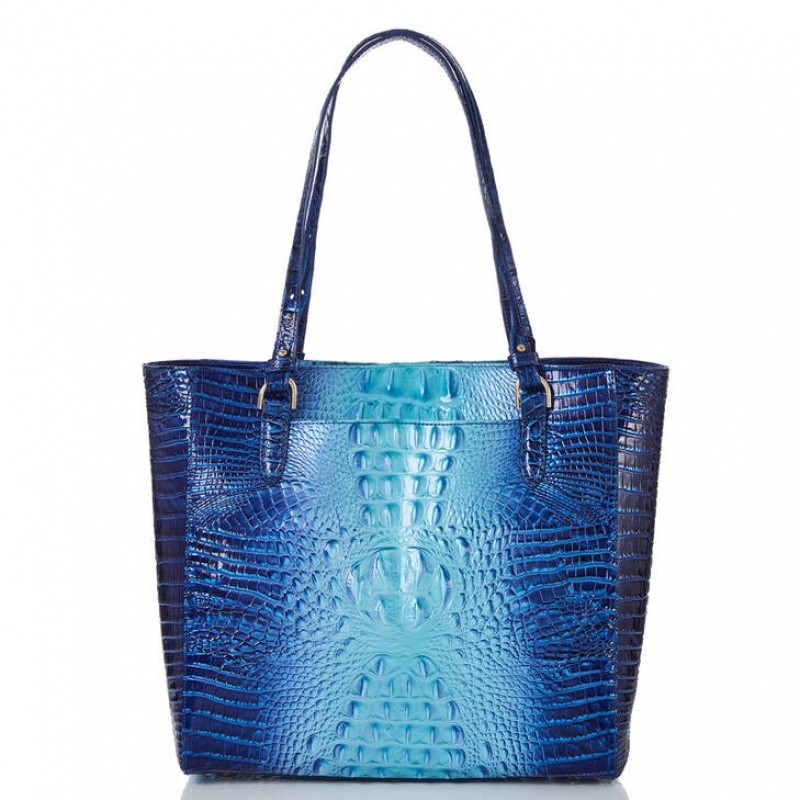 Blue Women's Brahmin April Tote Bags | 2107WNSVM