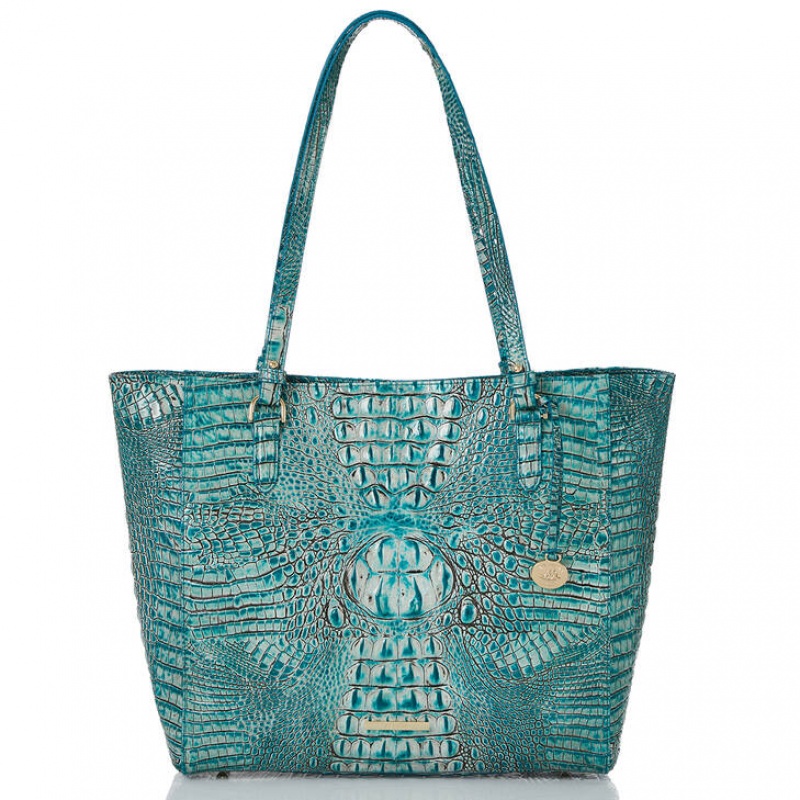 Blue Women\'s Brahmin April Tote Bags | 3862CVSDP