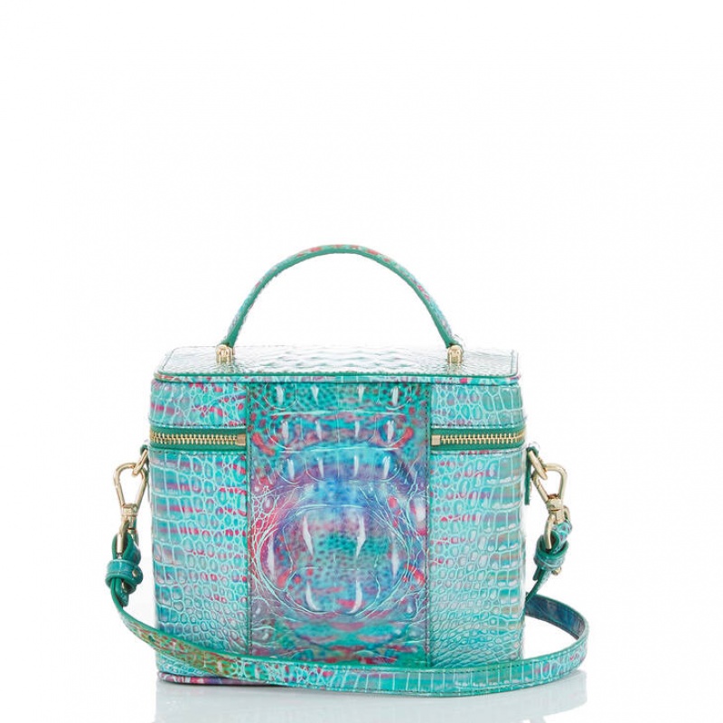 Blue Women's Brahmin Chantal Crossbody Bags | 0491YELOV