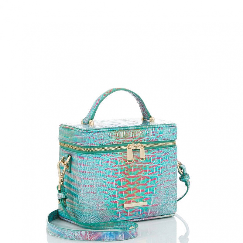 Blue Women\'s Brahmin Chantal Crossbody Bags | 0491YELOV