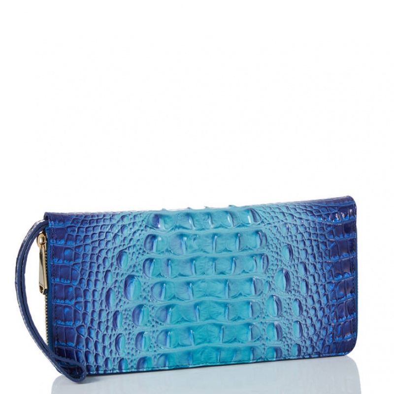 Blue Women's Brahmin Skyler Clutch Bags | 6428XYDEH