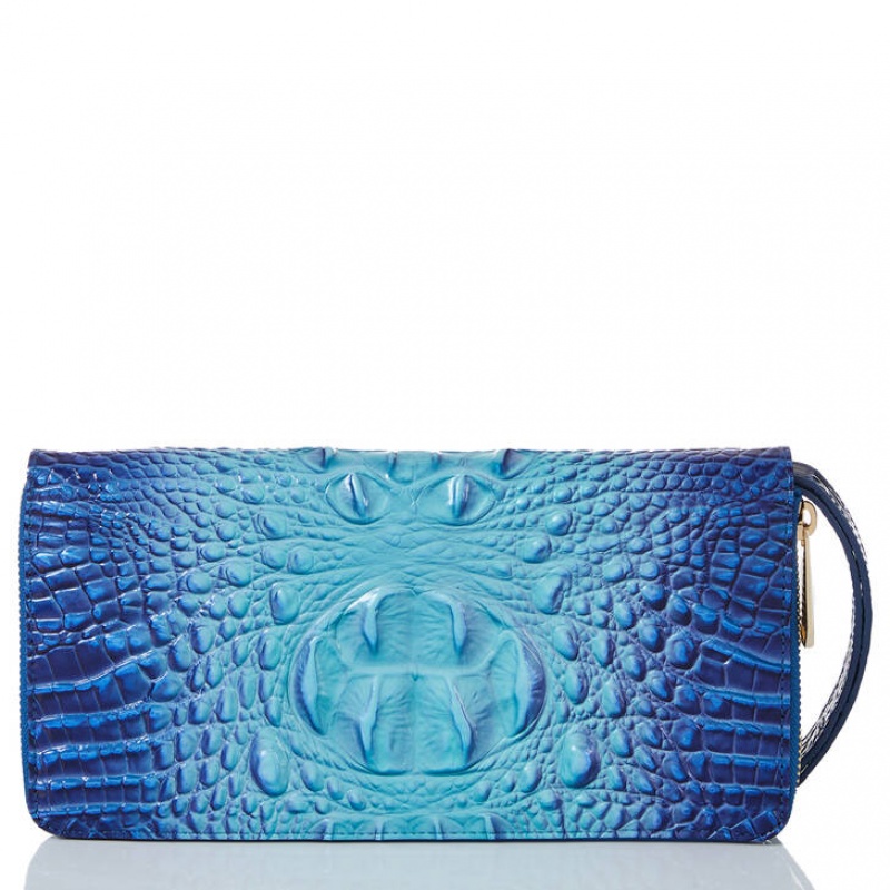 Blue Women's Brahmin Skyler Clutch Bags | 6428XYDEH