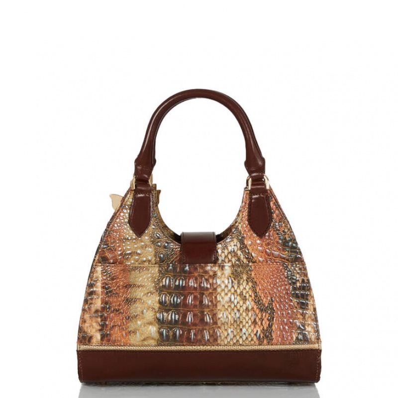 Brown Women's Brahmin Adrian Satchel Bags | 2658EFLOY