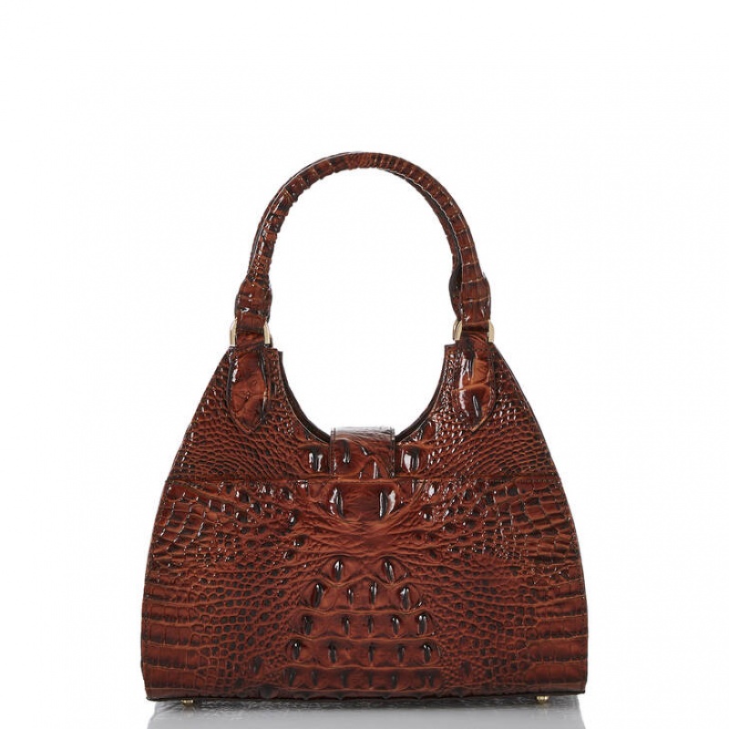 Brown Women's Brahmin Adrian Satchel Bags | 9156CDXAN