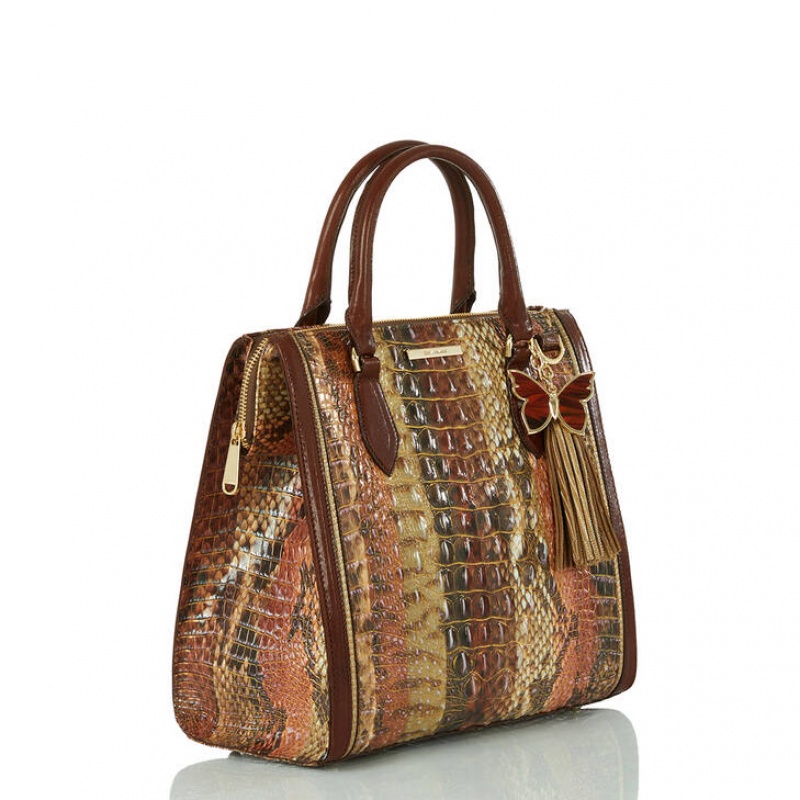 Brown Women\'s Brahmin Caroline Satchel Bags | 6973SJPVF