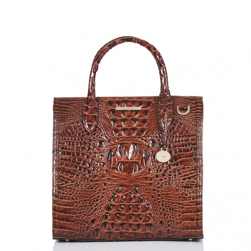 Brown Women\'s Brahmin Caroline Satchel Bags | 3096SDLUI