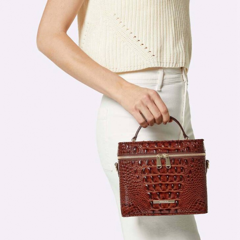 Brown Women's Brahmin Chantal Crossbody Bags | 9602QHNBG