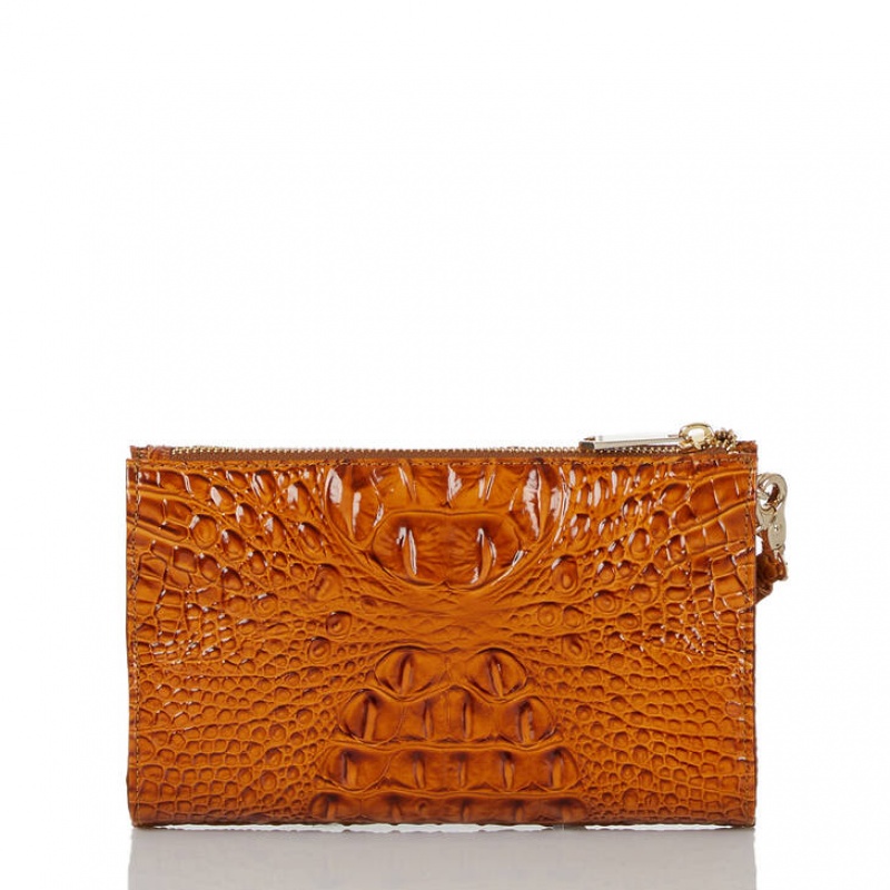 Brown Women's Brahmin Daisy Clutch Bags | 8945WLPIO