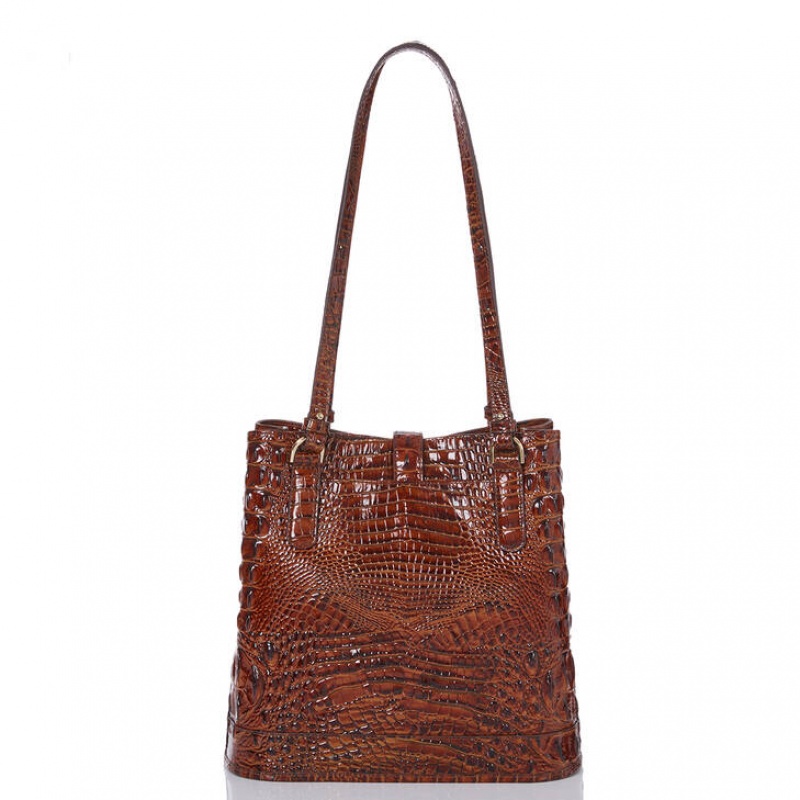 Brown Women's Brahmin Fiora Bucket Bags | 1524DQFCH