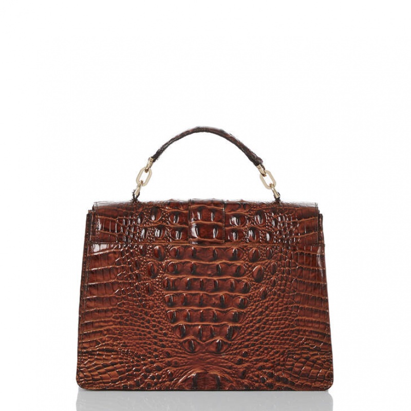 Brown Women's Brahmin Hallie Satchel Bags | 7204TWADZ