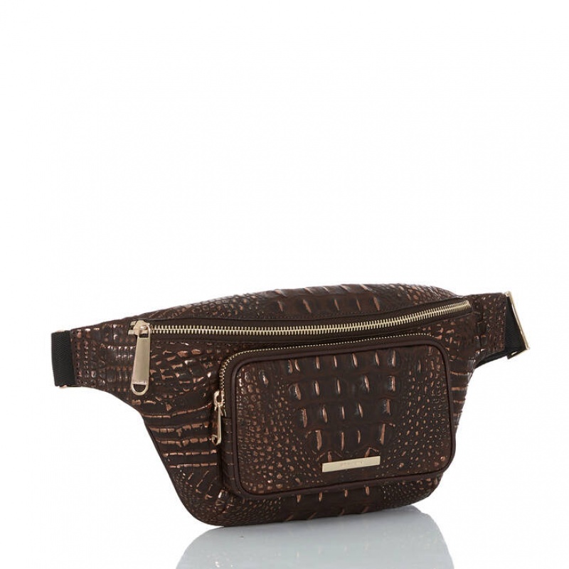 Brown Women's Brahmin Harker Crossbody Bags | 8143XGUWR