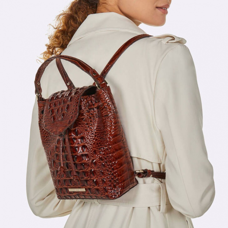 Brown Women's Brahmin Kendall Backpacks | 6495KHONP