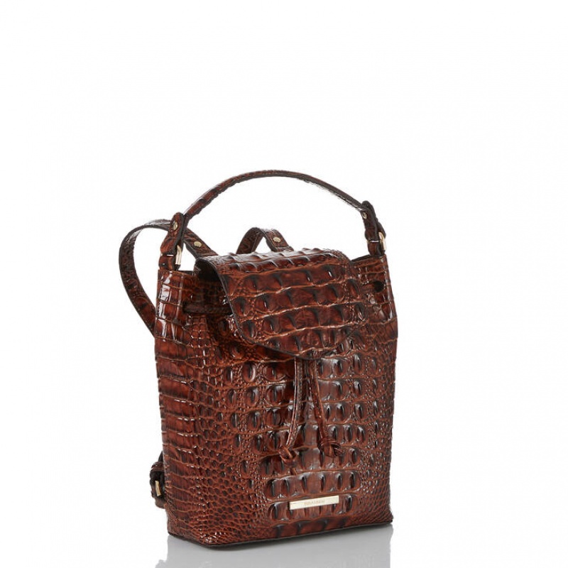 Brown Women\'s Brahmin Kendall Backpacks | 6495KHONP