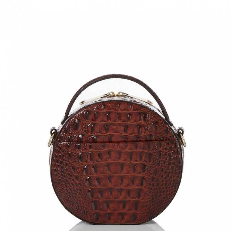 Brown Women's Brahmin Lane Crossbody Bags | 6287JLGBT