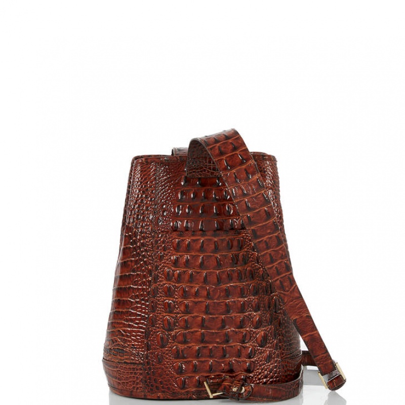 Brown Women's Brahmin Maddie Bucket Bags | 5149WOTBM