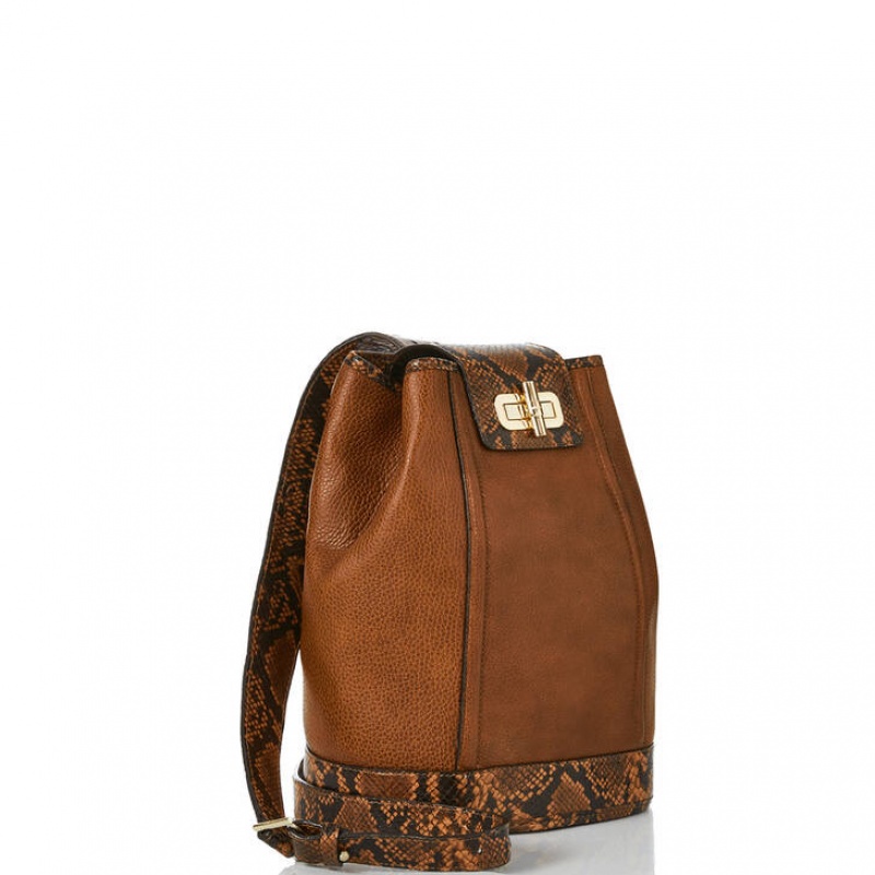 Brown Women's Brahmin Maddie Bucket Bags | 2970ROXHB