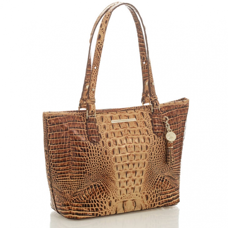 Brown Women's Brahmin Medium Asher Tote Bags | 0463GBFCP