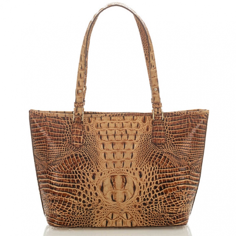 Brown Women's Brahmin Medium Asher Tote Bags | 0463GBFCP