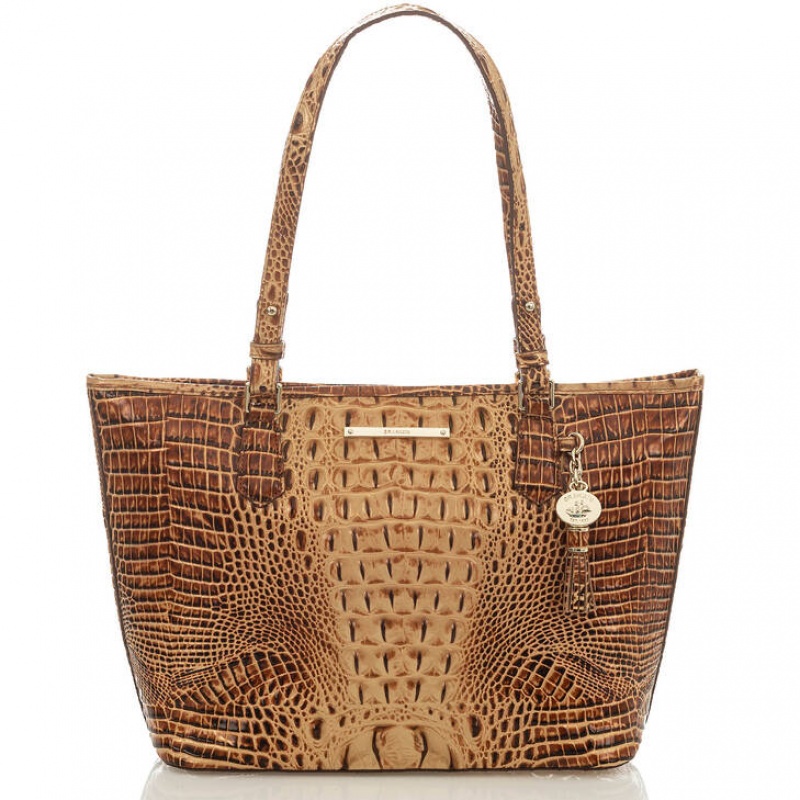 Brown Women\'s Brahmin Medium Asher Tote Bags | 0463GBFCP