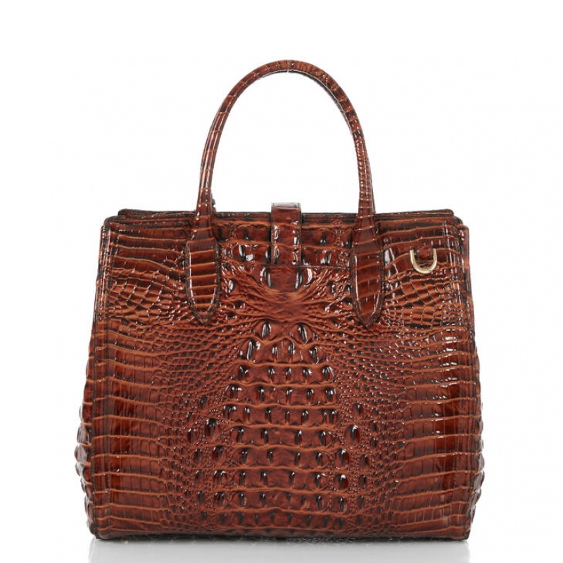 Brown Women's Brahmin Nakita Satchel Bags | 0548MJATE