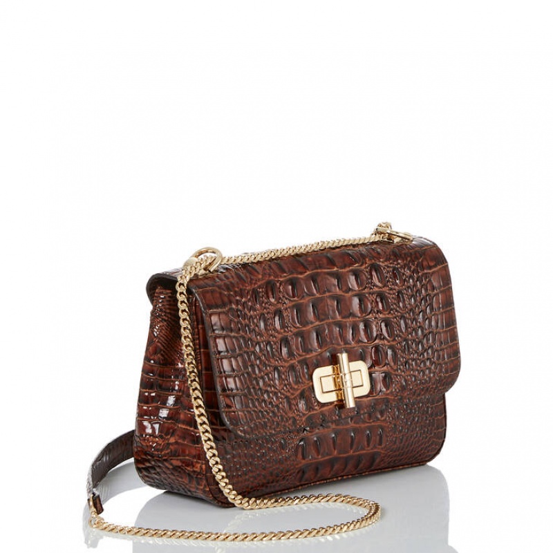 Brown Women's Brahmin Rosalie Crossbody Bags | 2369SWDVM