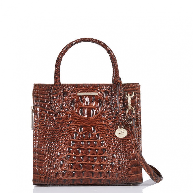 Brown Women's Brahmin Small Caroline Satchel Bags | 9485PTVRK