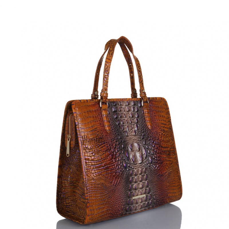 Brown Women\'s Brahmin Tia Tote Bags | 4172GTCXP