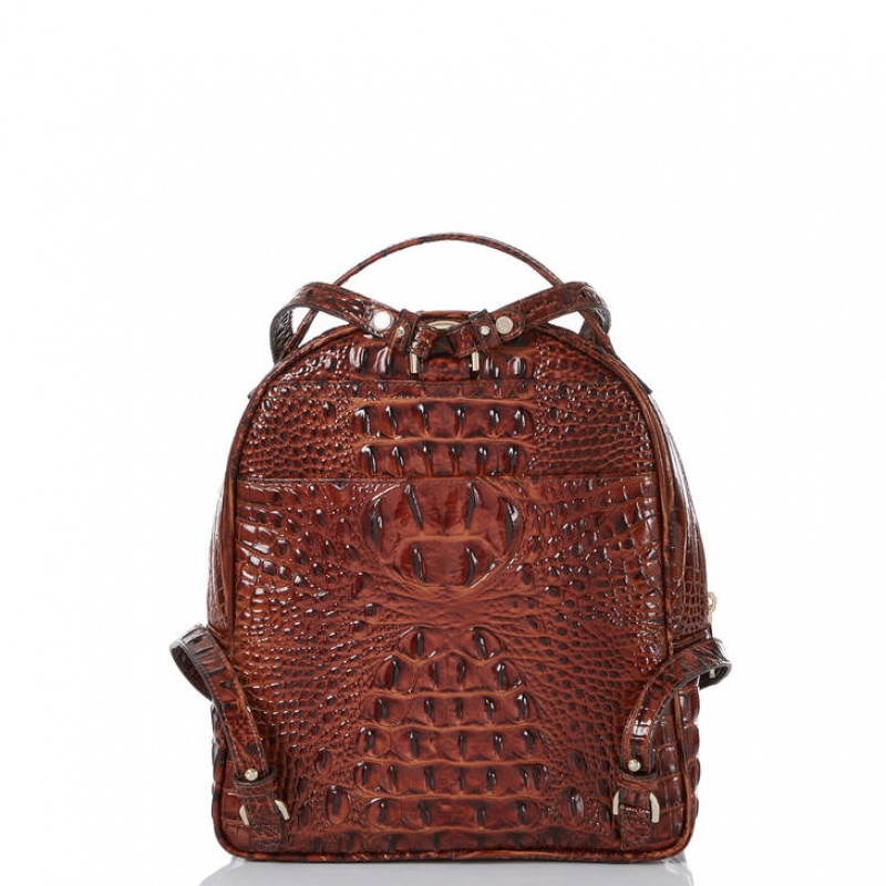 Chocolate Women's Brahmin Chelcy Backpacks | 5386RJAFN