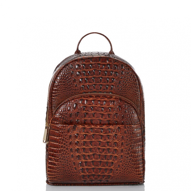 Chocolate Women\'s Brahmin Dartmouth Backpack Backpacks | 6427WRQKH