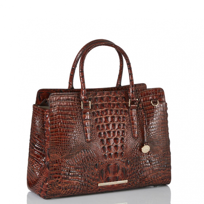 Chocolate Women's Brahmin Finley Carryall Travel Bags | 6289TJLXI