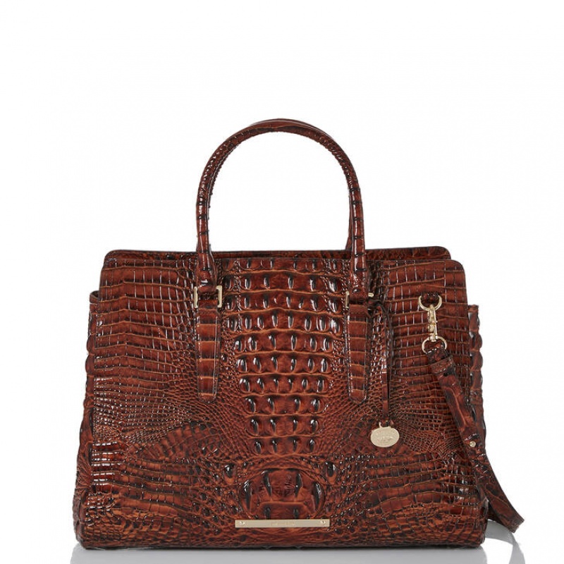 Chocolate Women's Brahmin Finley Carryall Travel Bags | 6289TJLXI