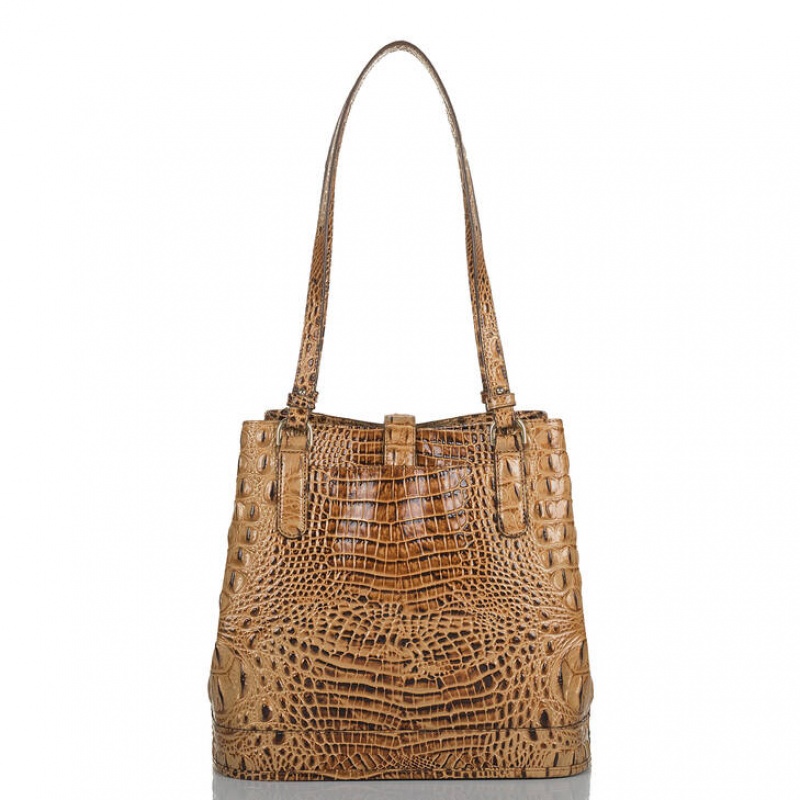 Chocolate Women's Brahmin Fiora Bucket Bags | 8752FORNI