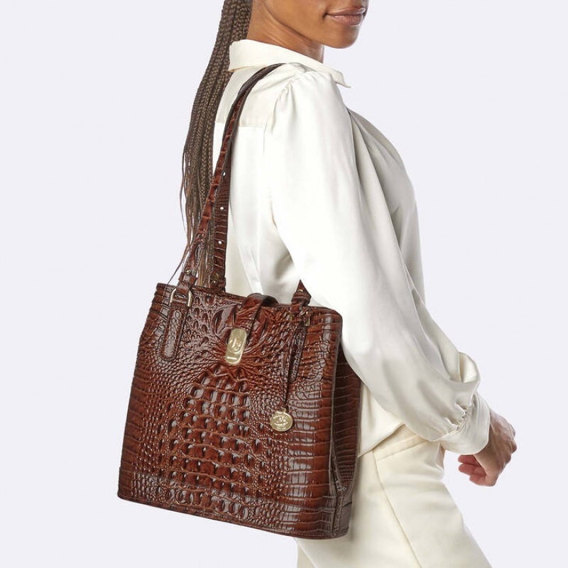 Chocolate Women's Brahmin Fiora Bucket Bags | 8752FORNI