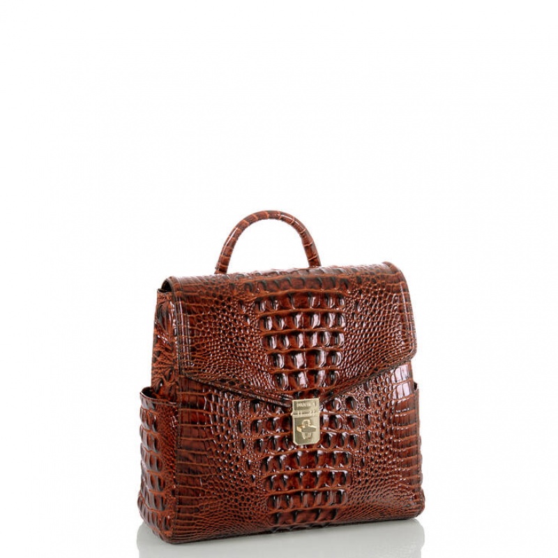 Chocolate Women's Brahmin Liz Backpacks | 4168PBCZG