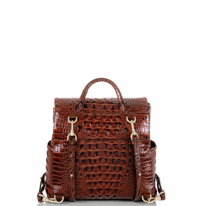 Chocolate Women's Brahmin Liz Backpacks | 4168PBCZG