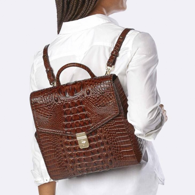 Chocolate Women's Brahmin Liz Backpacks | 4168PBCZG