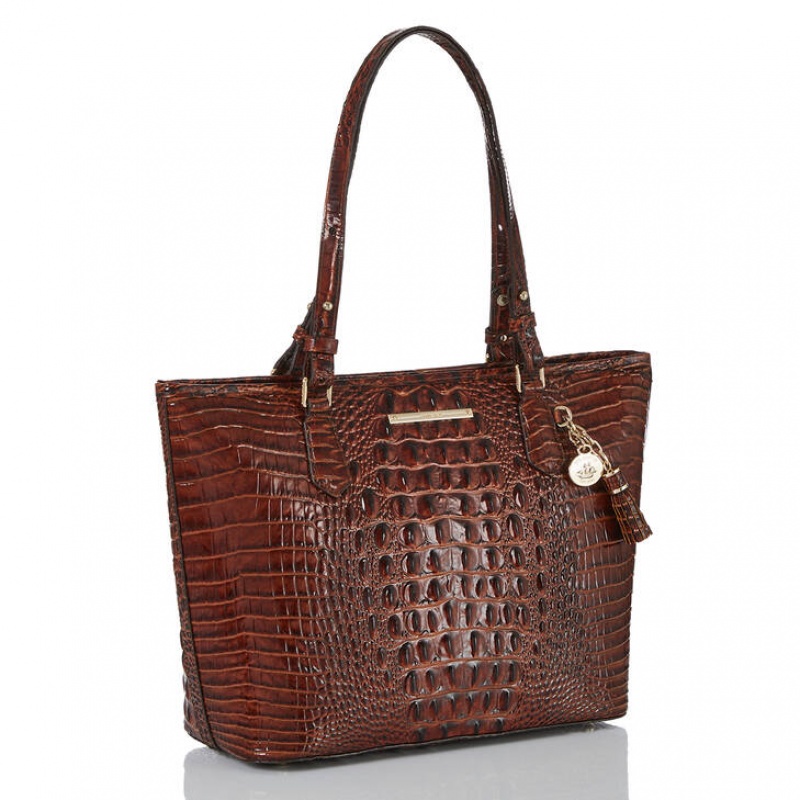 Chocolate Women's Brahmin Medium Asher Tote Bags | 2403SOQIW