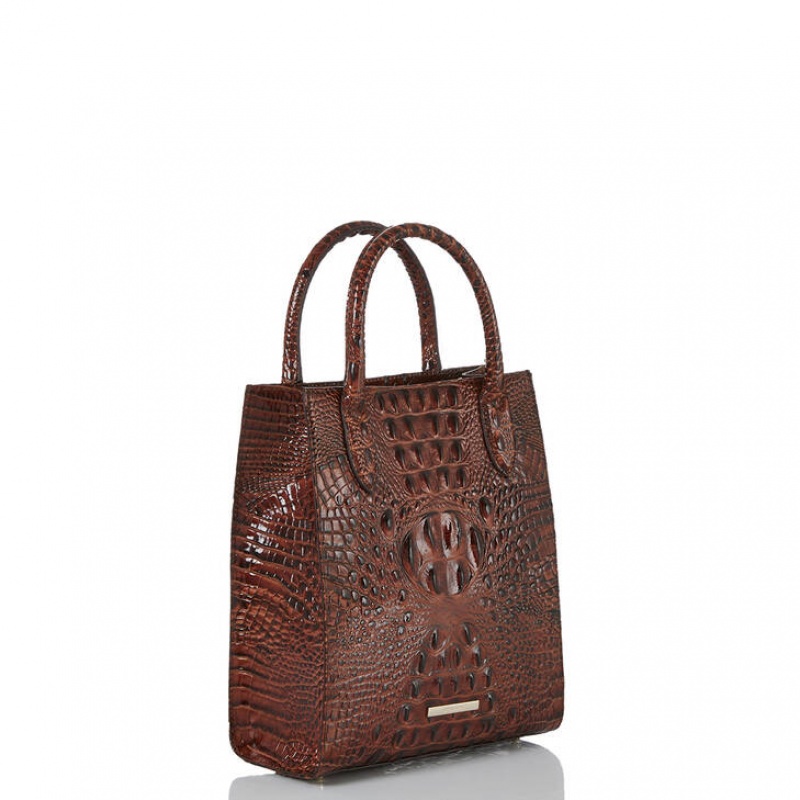 Chocolate Women's Brahmin Moira Tote Bags | 0467YEUPZ