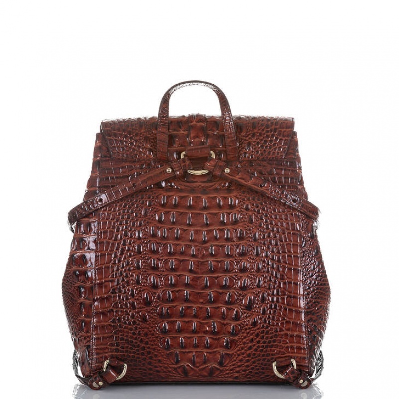 Chocolate Women's Brahmin Sadie Backpacks | 3718RAODE