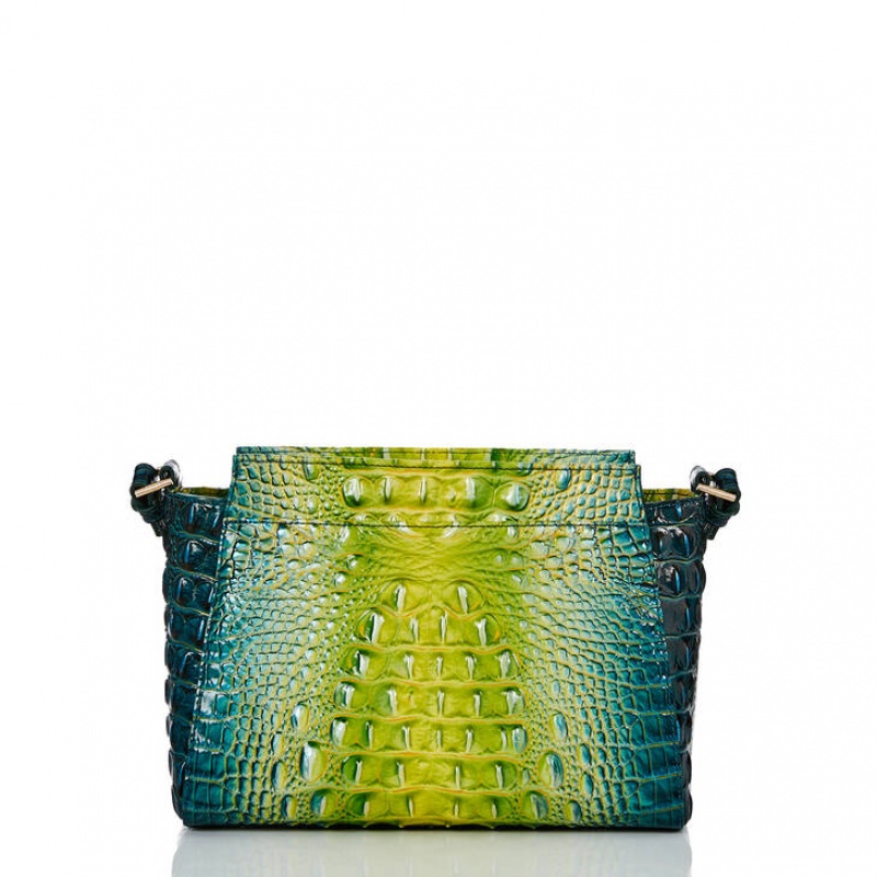 Green Women's Brahmin Hillary Crossbody Bags | 3251DFXPG