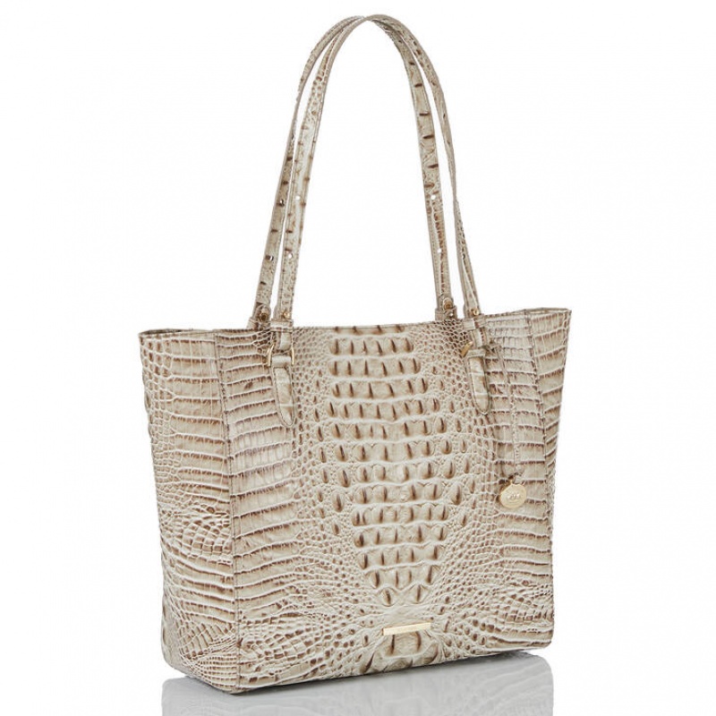 Grey Women's Brahmin April Tote Bags | 5023GHNYQ