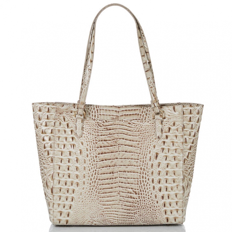 Grey Women's Brahmin April Tote Bags | 5023GHNYQ